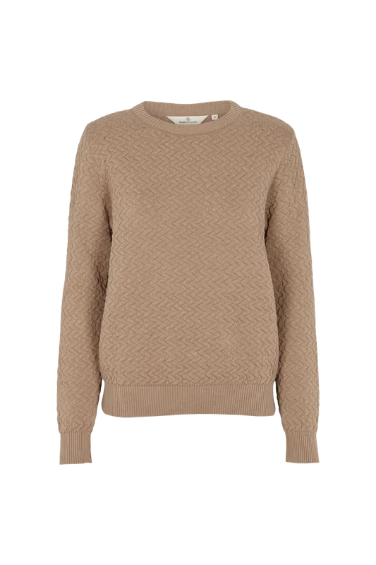 basicapparel20261012144841174642