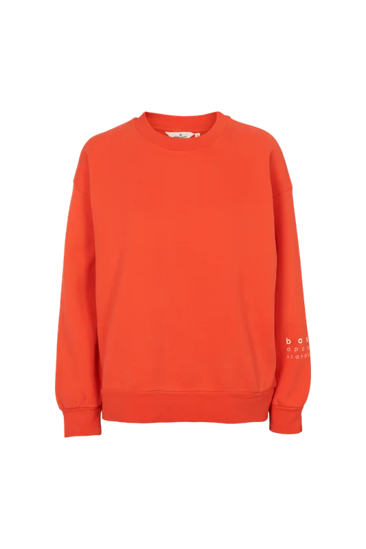 basicapparel20261012151506179967