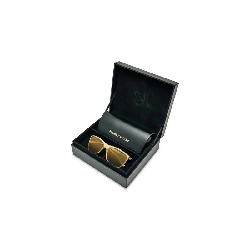 profiloptik20261012171005205781