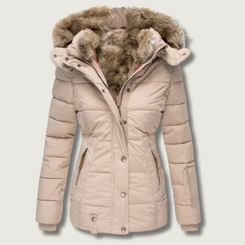 themaisonvaleur20261012153557184323